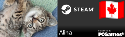 Alina Steam Signature