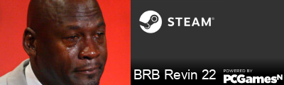 BRB Revin 22 Steam Signature
