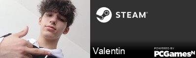 Valentin Steam Signature