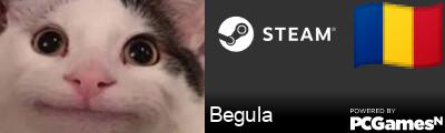 Begula Steam Signature