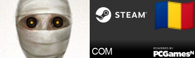 COM Steam Signature