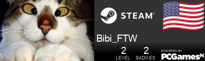 Bibi_FTW Steam Signature