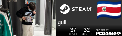 guii Steam Signature
