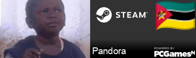 Pandora Steam Signature