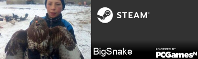 BigSnake Steam Signature