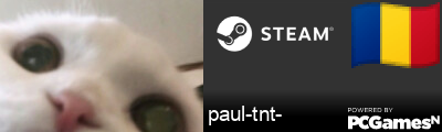 paul-tnt- Steam Signature