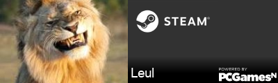 Leul Steam Signature