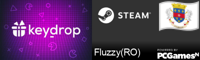 Fluzzy(RO) Steam Signature