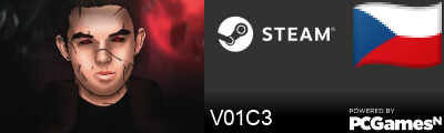 V01C3 Steam Signature