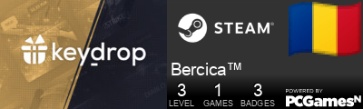 Bercica™ Steam Signature