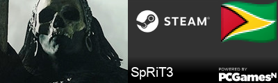 SpRiT3 Steam Signature