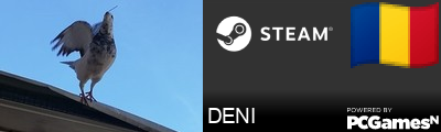 DENI Steam Signature