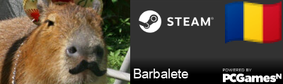 Barbalete Steam Signature