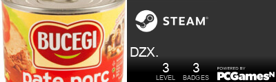 DZX. Steam Signature