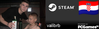 valibrb Steam Signature