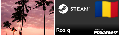 Roziq Steam Signature