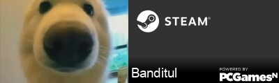 Banditul Steam Signature