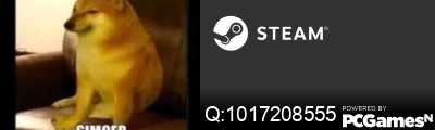 Q:1017208555 Steam Signature