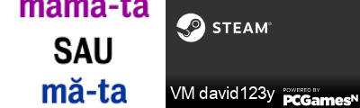 VM david123y Steam Signature