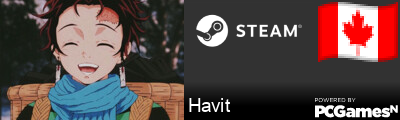 Havit Steam Signature