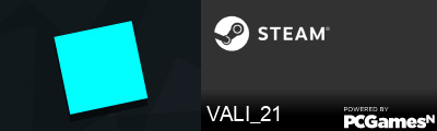 VALI_21 Steam Signature