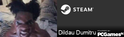 Dildau Dumitru Steam Signature