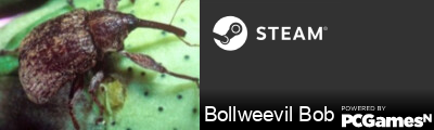 Bollweevil Bob Steam Signature