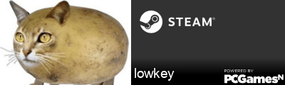 lowkey Steam Signature