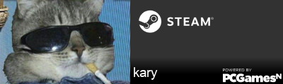 kary Steam Signature