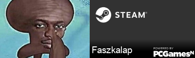 Faszkalap Steam Signature