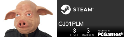 GJ01PLM Steam Signature