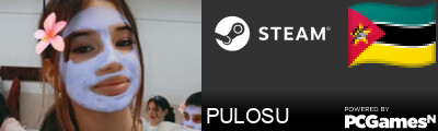 PULOSU Steam Signature