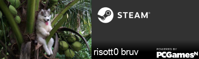 risott0 bruv Steam Signature