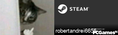 robertandrei6655 Steam Signature