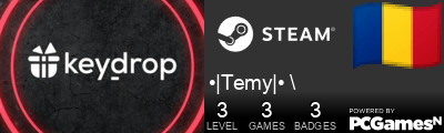 •|Temy|• \ Steam Signature
