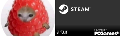 artur Steam Signature