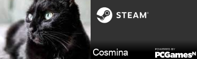Cosmina Steam Signature
