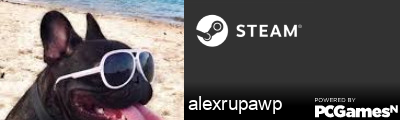 alexrupawp Steam Signature