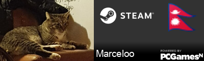 Marceloo Steam Signature