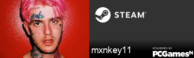 mxnkey11 Steam Signature