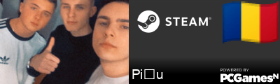 Pițu Steam Signature