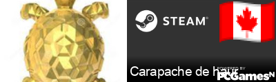 Carapache de haur Steam Signature