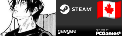 gaegae Steam Signature