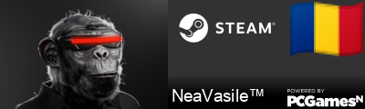 NeaVasile™ Steam Signature