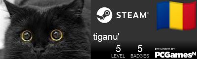 tiganu' Steam Signature