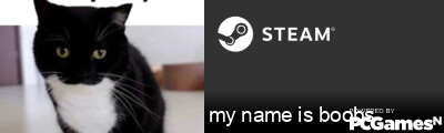 my name is boobs Steam Signature