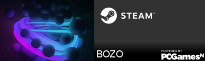 BOZO Steam Signature