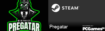 Pregatar Steam Signature