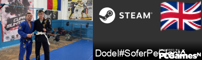Dodel#SoferPeGlont🔫🩸 Steam Signature