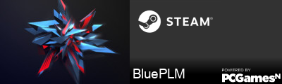 BluePLM Steam Signature